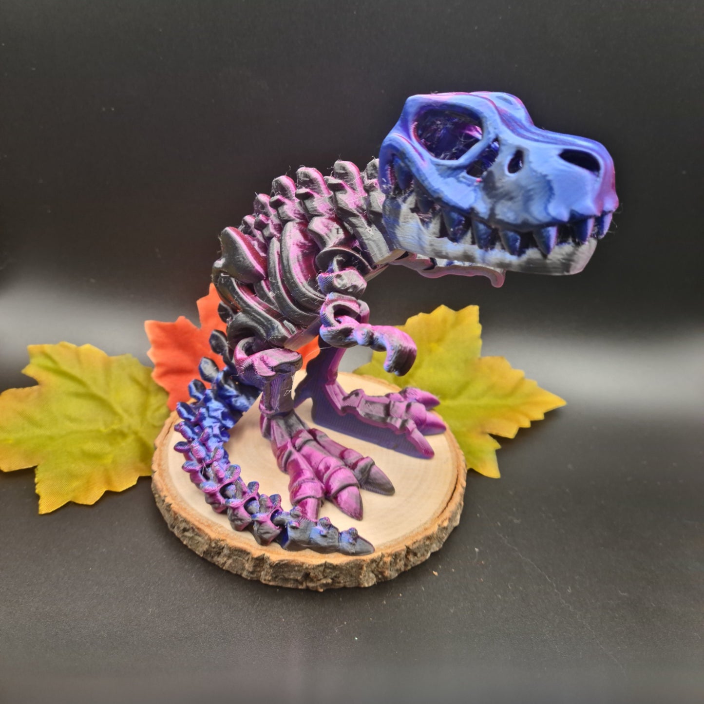 Flexible Skelett-Rex