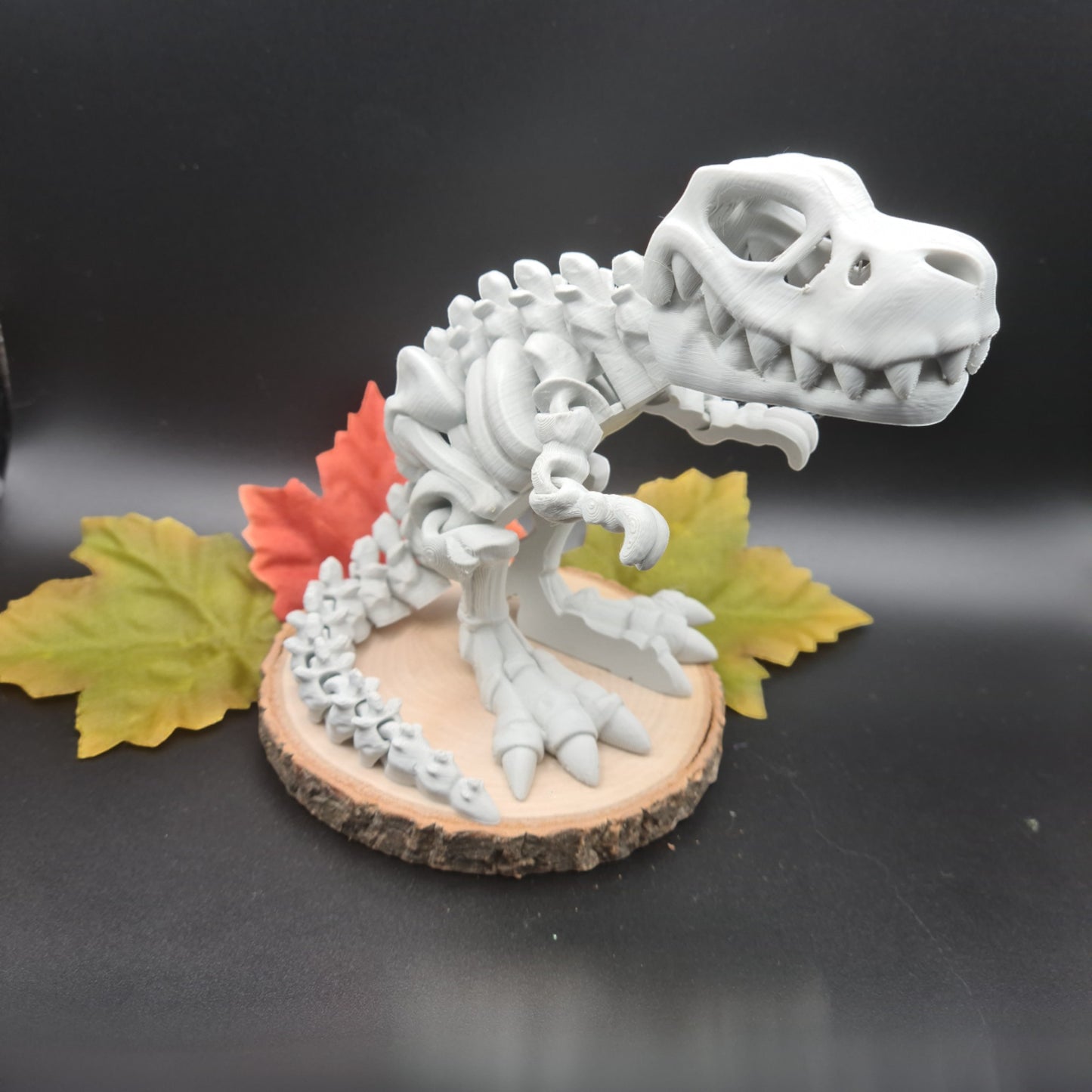 Flexible Skelett-Rex