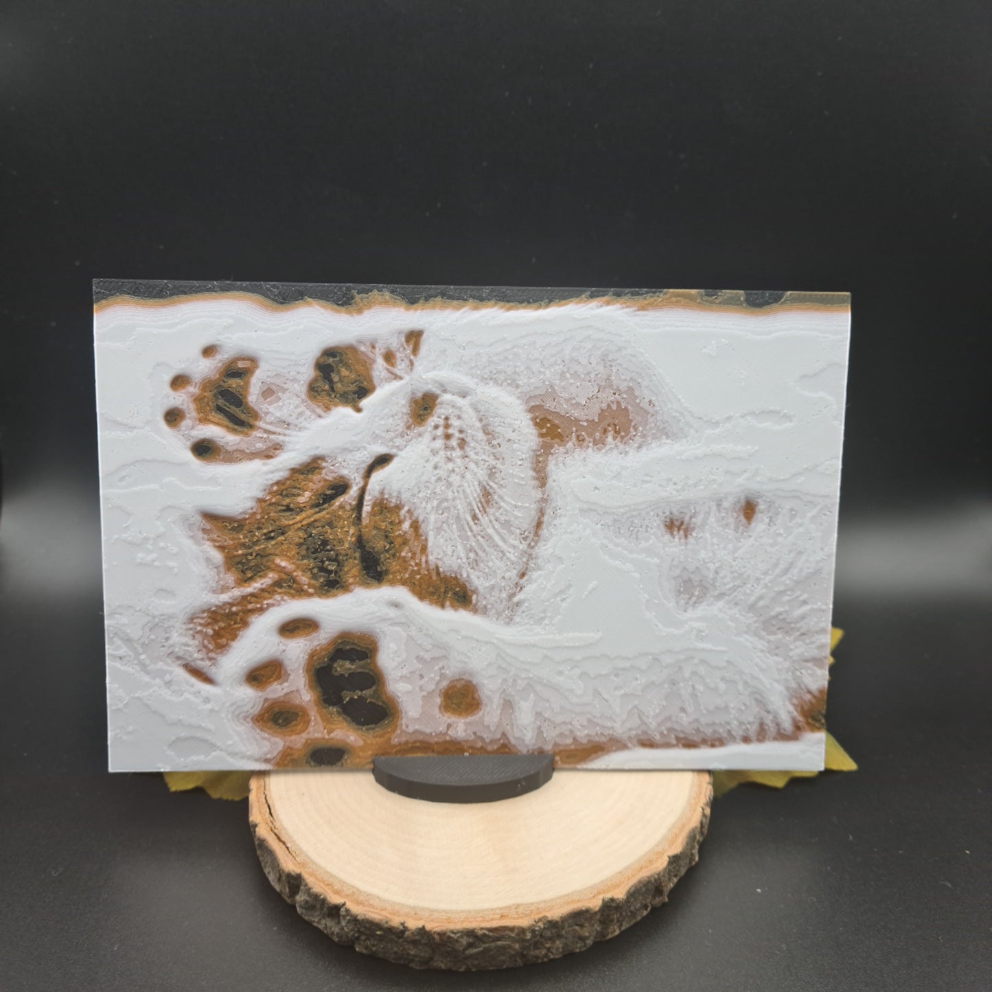 3D-Bilder (Postkartengröße)
