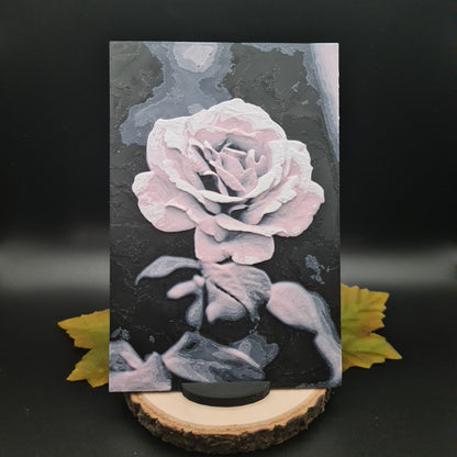 3D-Bilder (Postkartengröße)