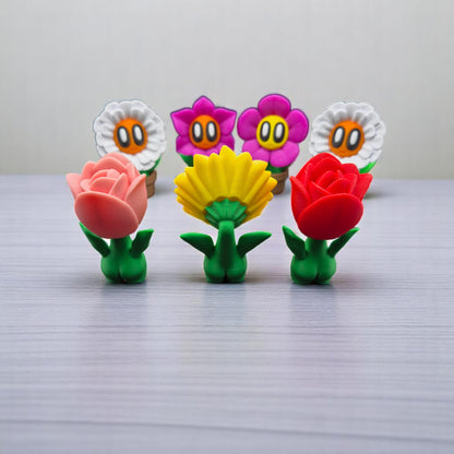 🌱👀 Planties – Die frechsten Pflanzenfreunde für dein Zuhause